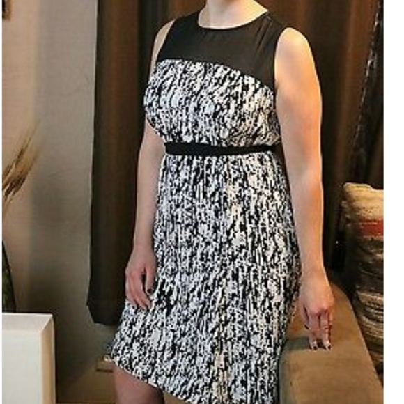 Black and white beauty with sash - Picture 1 of 5